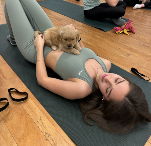 Dog Yoga Diaries