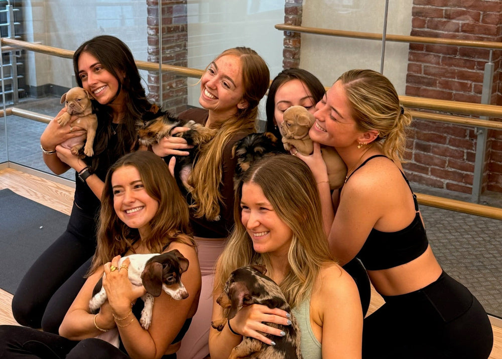 Discover the Magic of Puppy Yoga in Vancouver Sessions