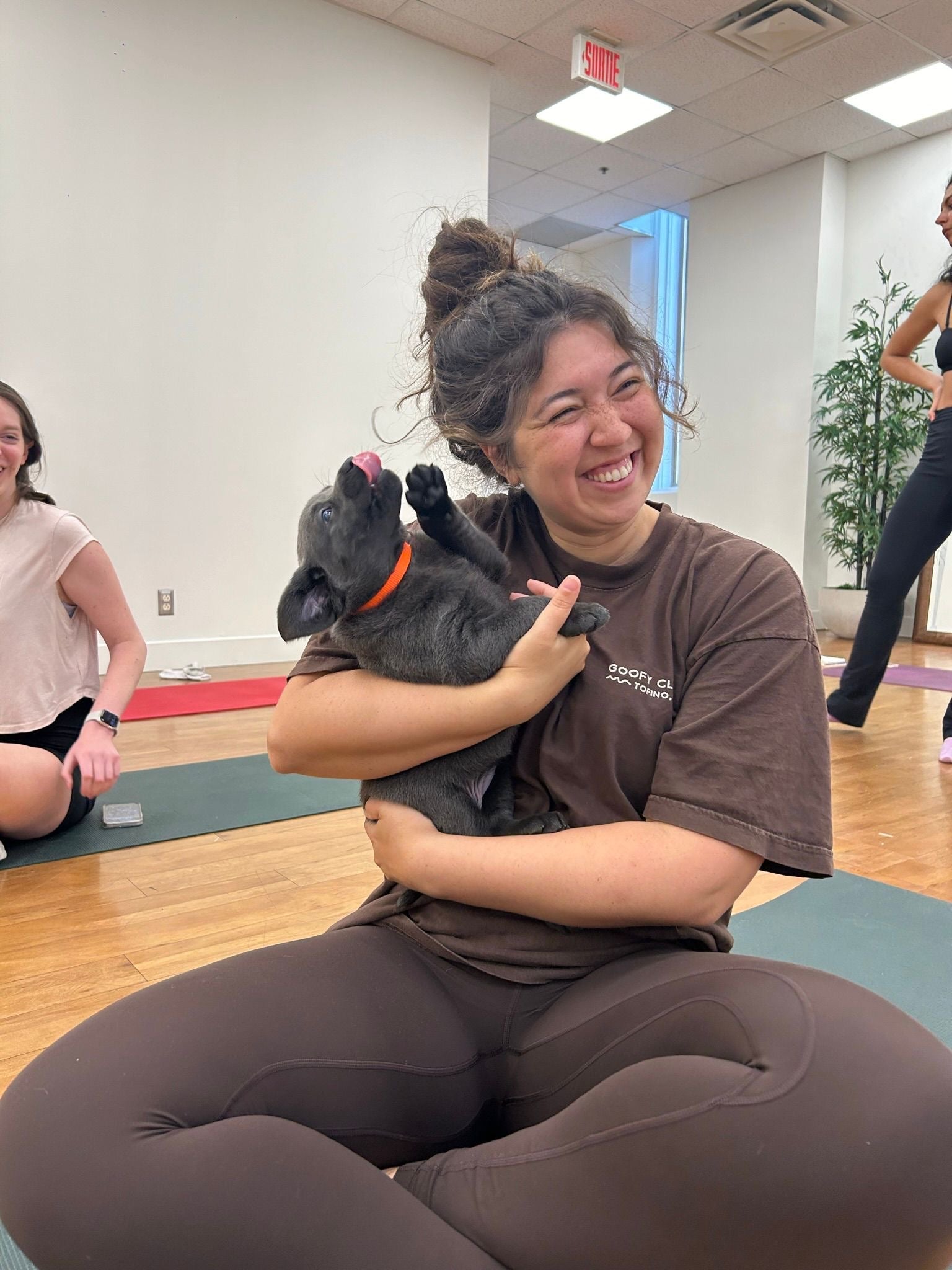 Montreal Yoga Class
