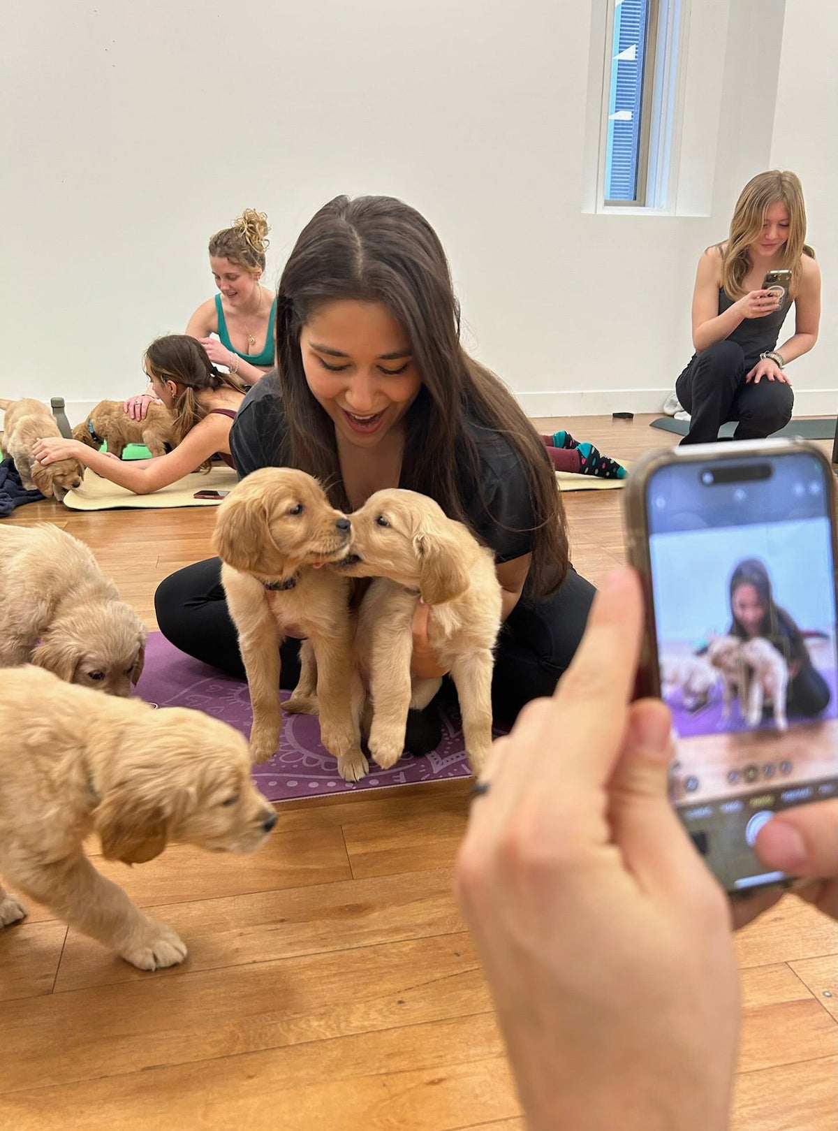 Puppy Yoga Near Me: The Cutest Way to Stay Active