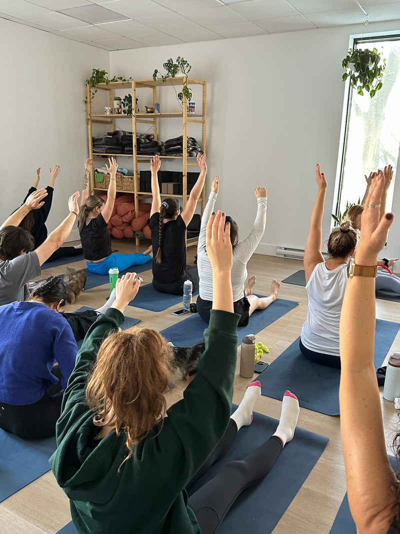 Puppy Yoga Quebec