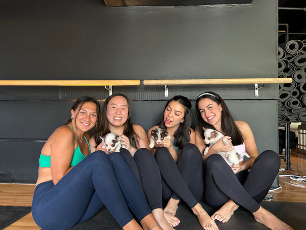 Yoga and Puppies