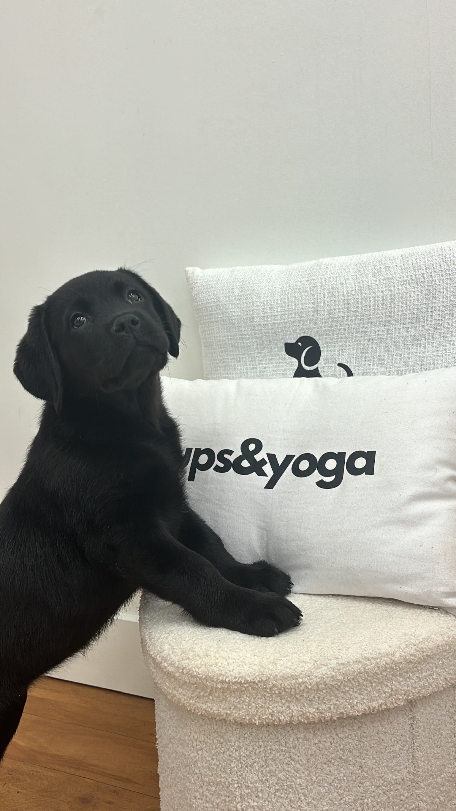 Puppy Posture in Yoga 