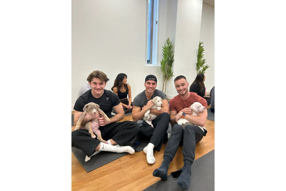 Yoga Puppies 