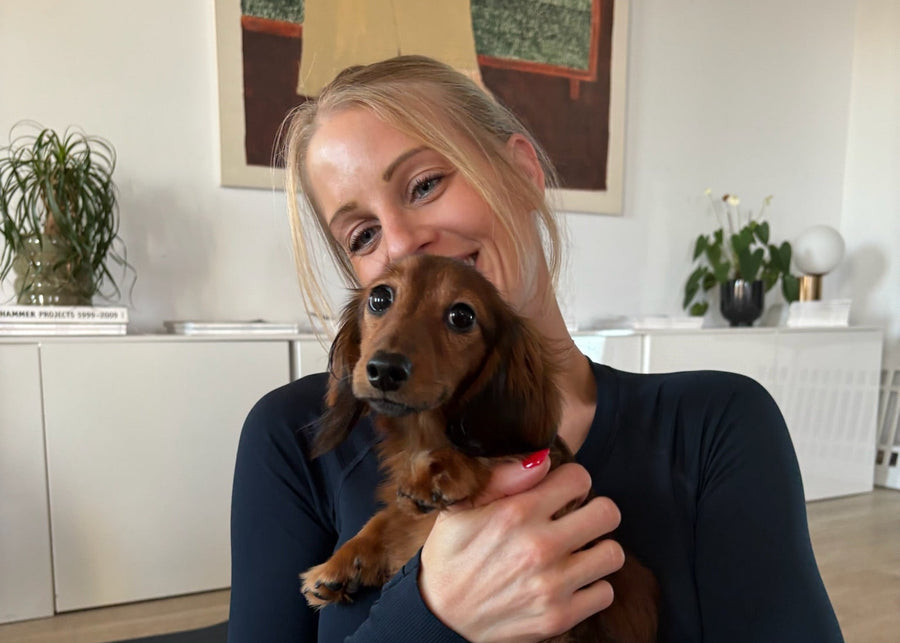Puppy Yoga | Ottawa