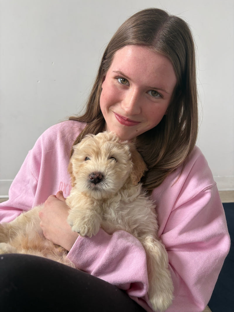 Puppy Yoga | Edmonton
