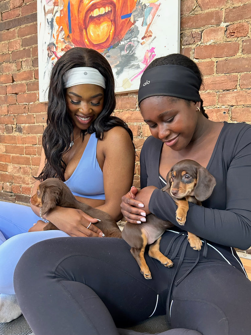 Pups&Yoga x La Maison Flow | Longueuil