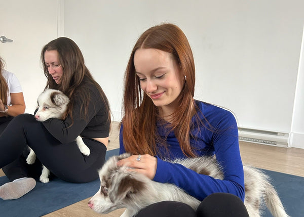 Puppy Yoga | Quebec