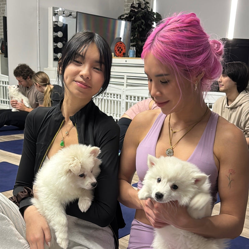 Puppy Yoga | Edmonton