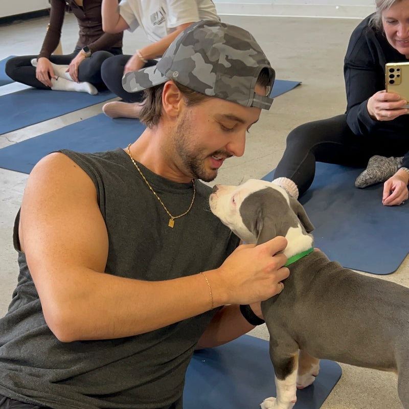 Puppy Yoga | Calgary