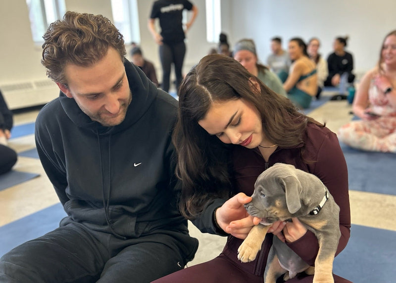 Puppy Yoga | Calgary