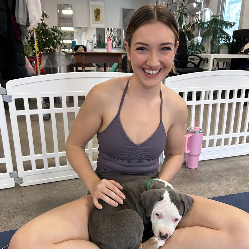 Puppy Yoga | Calgary