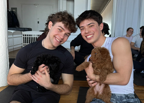 Puppy Yoga | Montreal