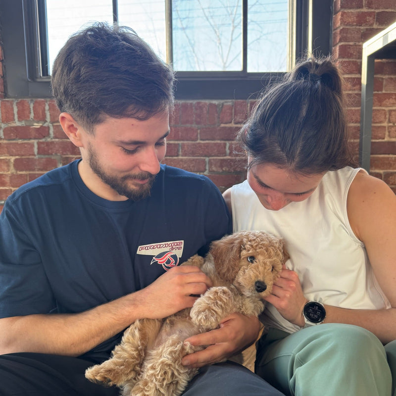 Puppy Yoga | Montreal