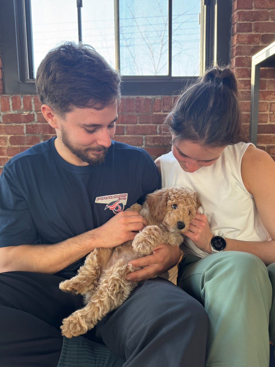 Pups&Yoga x La Maison Flow | Longueuil