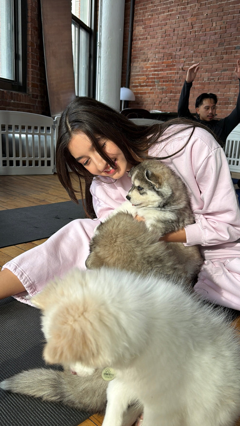 Pups&Yoga x La Maison Flow | Longueuil