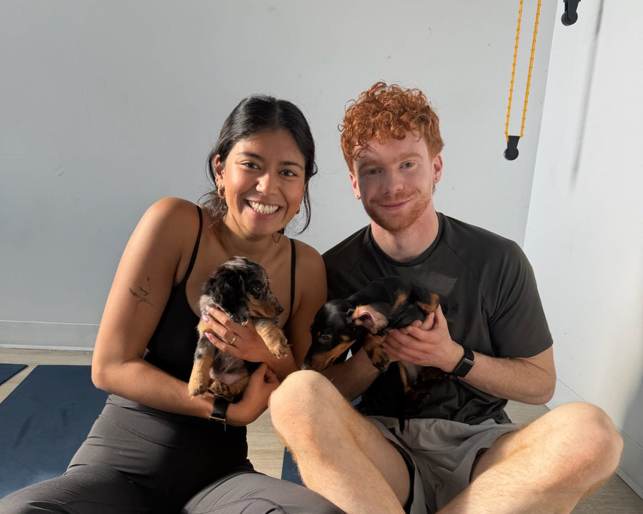 Puppy Yoga | Vancouver