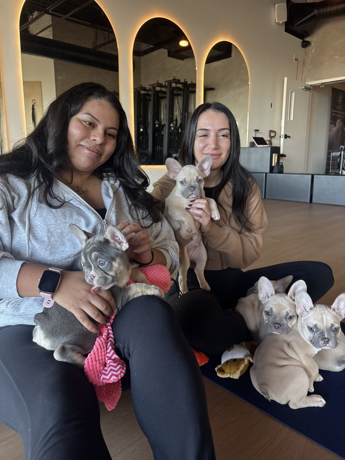 Yoga avec chiots au studio de Laval
