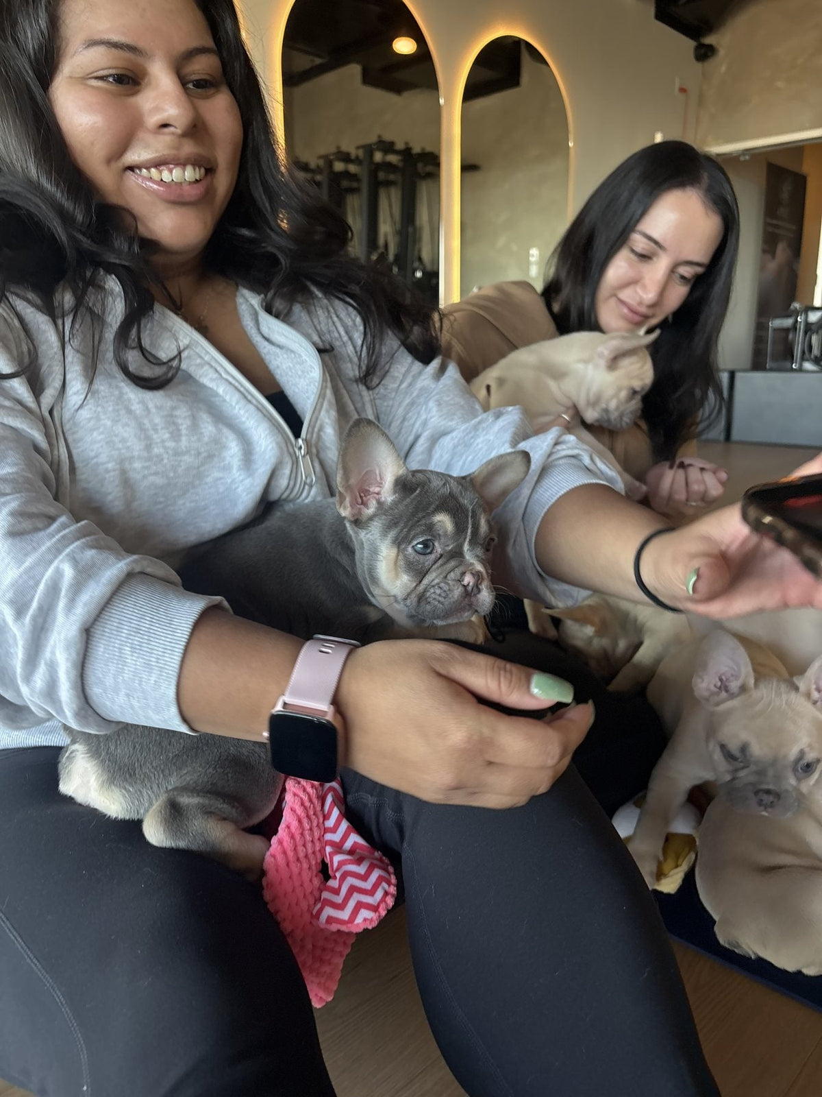 Yoga avec chiots au studio de Laval